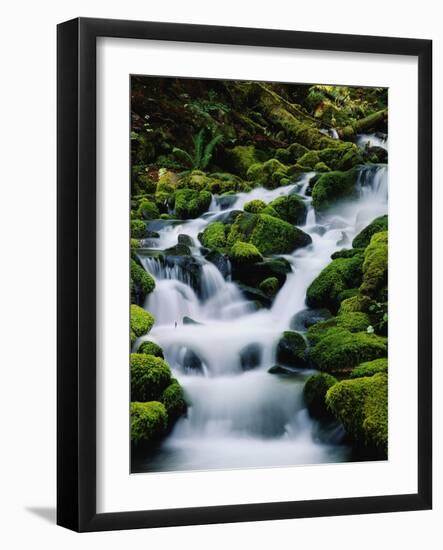 Moss-Covered Boulders at Sol Duc Falls-James Randklev-Framed Photographic Print