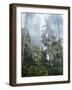 Moss Covered Old Growth Douglas Fir Trees in the Rainforest. Oregon-Christopher Talbot Frank-Framed Photographic Print