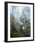 Moss Covered Old Growth Douglas Fir Trees in the Rainforest. Oregon-Christopher Talbot Frank-Framed Photographic Print