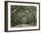 Moss-Covered Plantation Trees, Charleston, South Carolina, USA-Adam Jones-Framed Premium Photographic Print