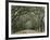 Moss-Covered Plantation Trees, Charleston, South Carolina, USA-Adam Jones-Framed Photographic Print