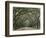 Moss-Covered Plantation Trees, Charleston, South Carolina, USA-Adam Jones-Framed Photographic Print