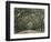 Moss-Covered Plantation Trees, Charleston, South Carolina, USA-Adam Jones-Framed Photographic Print