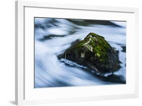 Moss Covered Rock Slow Swirling Water-Anthony Paladino-Framed Giclee Print