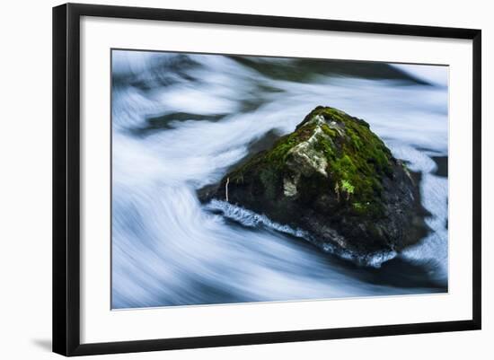 Moss Covered Rock Slow Swirling Water-Anthony Paladino-Framed Giclee Print