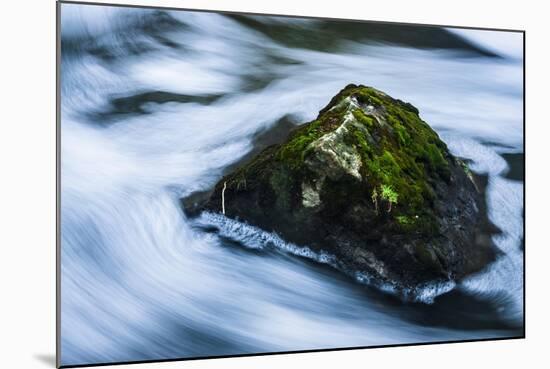 Moss Covered Rock Slow Swirling Water-Anthony Paladino-Mounted Giclee Print