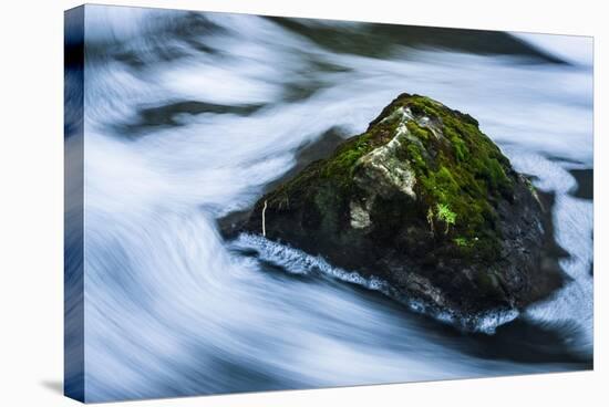 Moss Covered Rock Slow Swirling Water-Anthony Paladino-Stretched Canvas