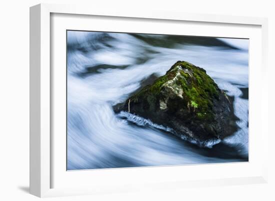 Moss Covered Rock Slow Swirling Water-Anthony Paladino-Framed Giclee Print