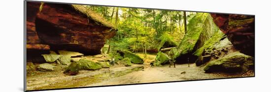 Moss covered rocks in forest, Rocky Hollow Falls Canyon, Turkey Run State Park, Marshall, Indian...-null-Mounted Photographic Print