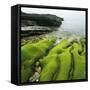 Moss Covered Rocks on Beach in Japan-Micha Pawlitzki-Framed Stretched Canvas