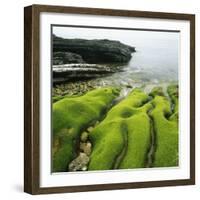 Moss Covered Rocks on Beach in Japan-Micha Pawlitzki-Framed Photographic Print