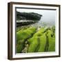 Moss Covered Rocks on Beach in Japan-Micha Pawlitzki-Framed Photographic Print