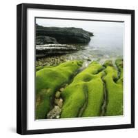 Moss Covered Rocks on Beach in Japan-Micha Pawlitzki-Framed Photographic Print