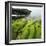 Moss Covered Rocks on Beach in Japan-Micha Pawlitzki-Framed Photographic Print