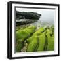 Moss Covered Rocks on Beach in Japan-Micha Pawlitzki-Framed Photographic Print