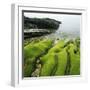 Moss Covered Rocks on Beach in Japan-Micha Pawlitzki-Framed Photographic Print