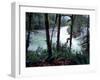 Moss-Covered Trees Frame a Bend in the Boulder River in Snohomish, Washington, USA-William Sutton-Framed Photographic Print