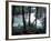 Moss-Covered Trees Frame a Bend in the Boulder River in Snohomish, Washington, USA-William Sutton-Framed Photographic Print