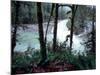 Moss-Covered Trees Frame a Bend in the Boulder River in Snohomish, Washington, USA-William Sutton-Mounted Photographic Print