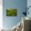 Moss Covered Trees-null-Stretched Canvas displayed on a wall