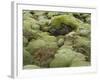 Moss Cushion, Lava Field 'Eldhraun', South Iceland, Iceland-Rainer Mirau-Framed Photographic Print