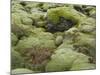 Moss Cushion, Lava Field 'Eldhraun', South Iceland, Iceland-Rainer Mirau-Mounted Photographic Print