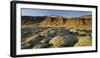 Moss Cushion on a Lava Field, Near Kirkjubaerklaustur, Eldhraun, South Iceland, Iceland-Rainer Mirau-Framed Photographic Print