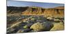 Moss Cushion on a Lava Field, Near Kirkjubaerklaustur, Eldhraun, South Iceland, Iceland-Rainer Mirau-Mounted Photographic Print