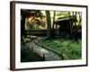 Moss Garden, Saiho-Ji Temple (Kokedera), Kyoto, Japan-null-Framed Photographic Print