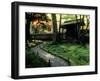 Moss Garden, Saiho-Ji Temple (Kokedera), Kyoto, Japan-null-Framed Photographic Print