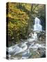 Moss Glen Falls in Autumn, Granvillie, Vermont, USA-Adam Jones-Stretched Canvas