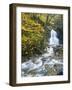 Moss Glen Falls in Autumn, Granvillie, Vermont, USA-Adam Jones-Framed Photographic Print