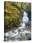 Moss Glen Falls in Autumn, Granvillie, Vermont, USA-Adam Jones-Stretched Canvas