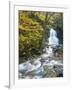 Moss Glen Falls in Autumn, Granvillie, Vermont, USA-Adam Jones-Framed Premium Photographic Print
