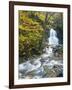 Moss Glen Falls in Autumn, Granvillie, Vermont, USA-Adam Jones-Framed Premium Photographic Print