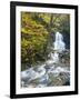 Moss Glen Falls in Autumn, Granvillie, Vermont, USA-Adam Jones-Framed Premium Photographic Print