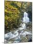 Moss Glen Falls in Autumn, Granvillie, Vermont, USA-Adam Jones-Mounted Premium Photographic Print