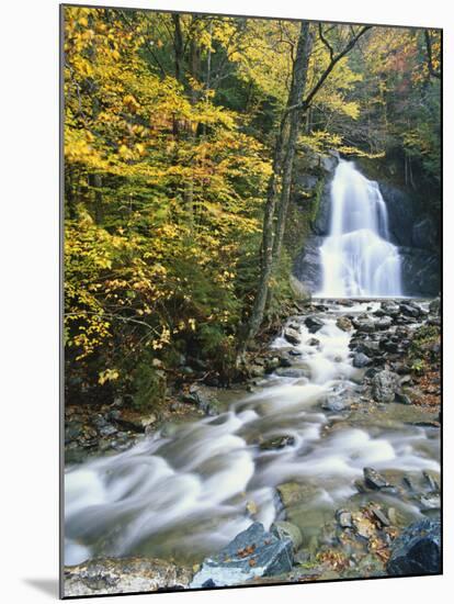 Moss Glen Falls in Autumn, Granvillie, Vermont, USA-Adam Jones-Mounted Photographic Print