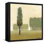 Moss Grove I-Norman Wyatt Jr.-Framed Stretched Canvas