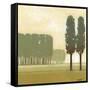 Moss Grove II-Norman Wyatt Jr.-Framed Stretched Canvas