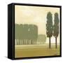 Moss Grove II-Norman Wyatt Jr.-Framed Stretched Canvas