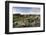 Moss heath vegetation on lava boulder field, South Iceland, Polar Regions-John Potter-Framed Photographic Print