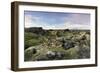 Moss heath vegetation on lava boulder field, South Iceland, Polar Regions-John Potter-Framed Photographic Print