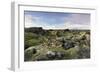 Moss heath vegetation on lava boulder field, South Iceland, Polar Regions-John Potter-Framed Photographic Print