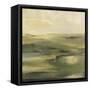 Moss Hill-Terri Burris-Framed Stretched Canvas