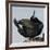 Moss Landing, California, USA Brandt's Cormorant mating display.-Karen Ann Sullivan-Framed Photographic Print