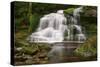 Moss on the Rocks at Elakala Falls-Michael Blanchette-Stretched Canvas