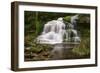 Moss on the Rocks at Elakala Falls-Michael Blanchette-Framed Photographic Print