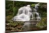 Moss on the Rocks at Elakala Falls-Michael Blanchette-Mounted Photographic Print