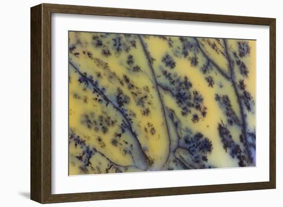 Moss Opaline-Darrell Gulin-Framed Photographic Print